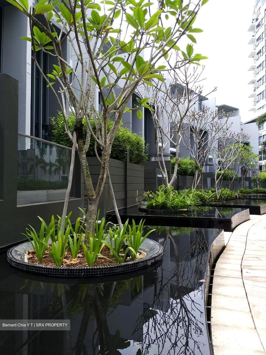 Miltonia Close (D27), Terrace #503515581